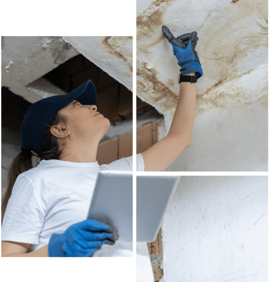 Mask group Woman inspecting ceiling damage with tablet.