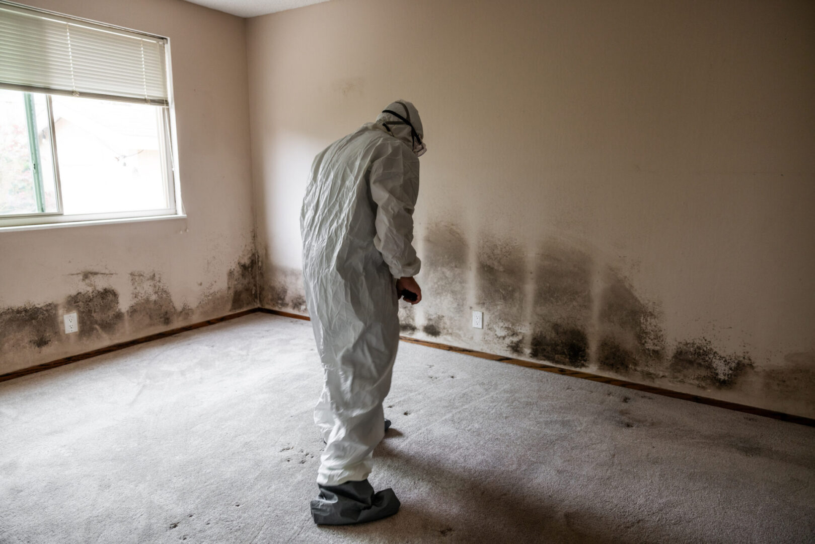 Person inspecting moldy room in protective suit.